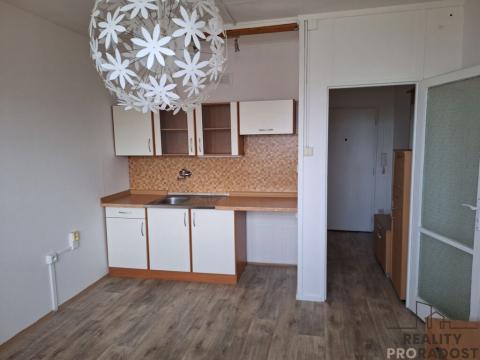 Pronájem bytu 1+kk, Děčín, Kamenická, 20 m2