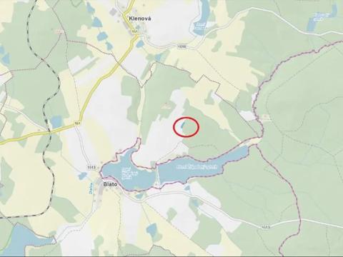 Prodej lesa, Nová Bystřice, 2850 m2