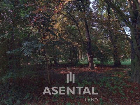 Prodej pozemku, Ostrava - Slezská Ostrava, Prokopská, 671 m2