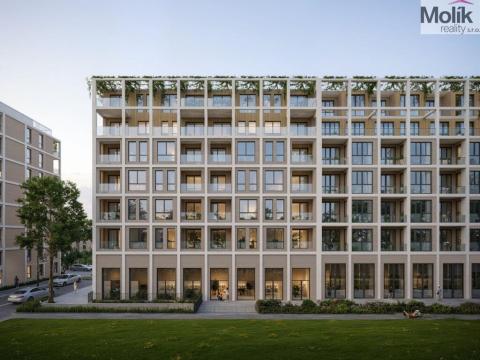 Prodej bytu 2+kk, Golem, 100 m2