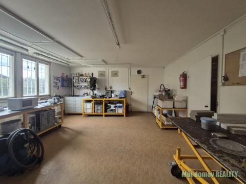 Pronájem výrobních prostor, Světice, V Zahradách, 250 m2