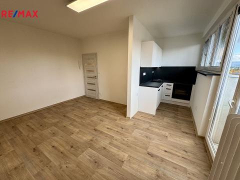 Pronájem bytu 1+kk, Příbram - Příbram I, Plzeňská, 23 m2