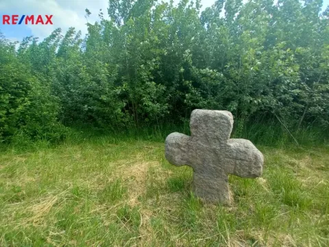 Prodej pole, Doubravice, 17750 m2