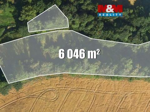 Prodej louky, Bílá - Hradčany, 6046 m2