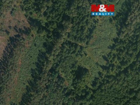 Prodej lesa, Libín - Slavošovice, 32765 m2