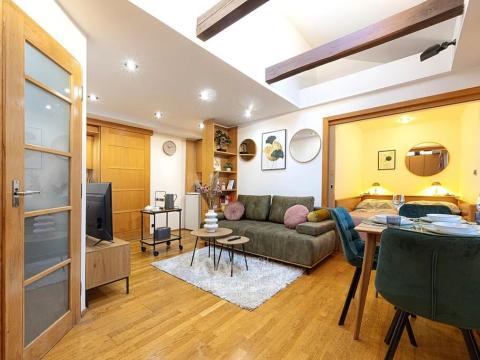 Prodej bytu 1+kk, Praha - Nové Město, Navrátilova, 28 m2