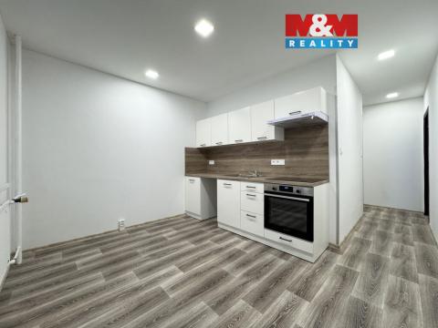 Pronájem bytu 1+1, Ostrov, Lidická, 35 m2