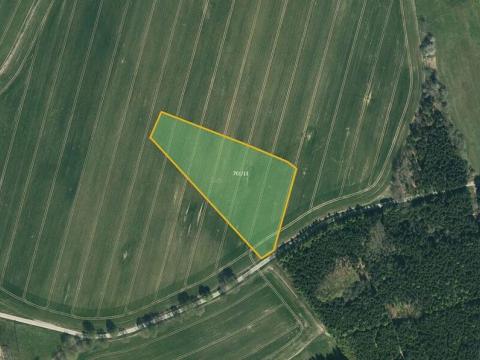 Prodej pole, Načeradec, 5469 m2