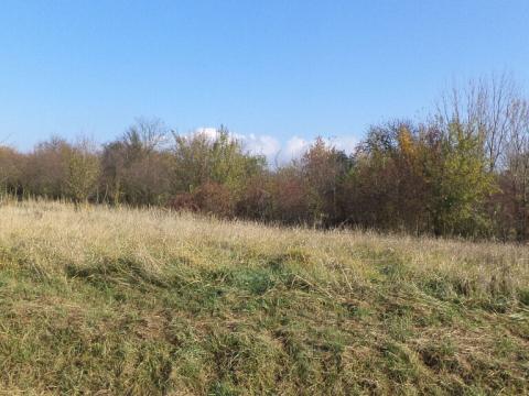 Prodej zahrady, Otrokovice, 503 m2