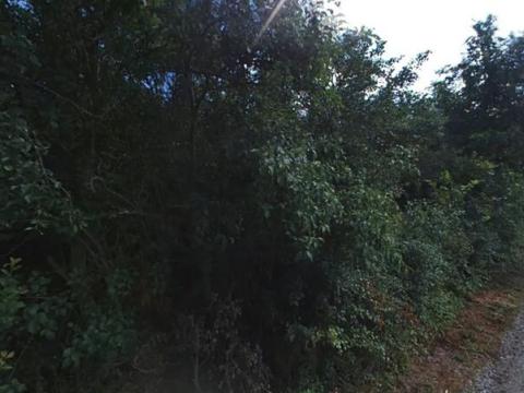 Pronájem zahrady, Dolní Kounice, 2459 m2