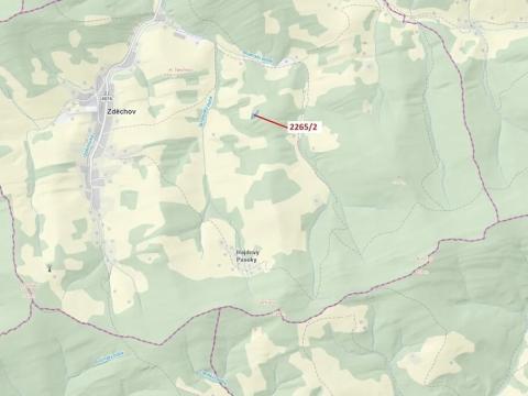 Dražba lesa, Zděchov, 2225 m2