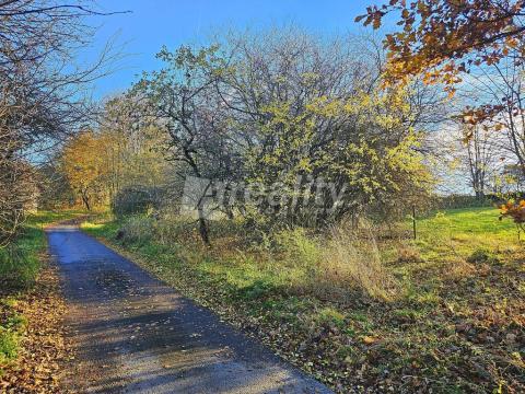 Prodej pozemku pro bydlení, Zbinohy, 1000 m2