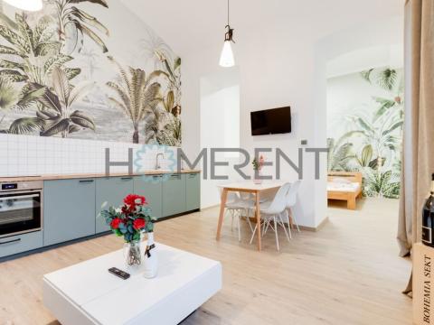 Pronájem bytu 2+kk, Praha - Karlín, Prvního pluku, 55 m2