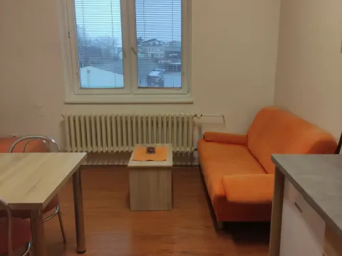 Pronájem bytu 1+1, Staré Město, Velehradská, 35 m2