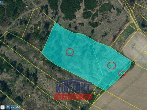 Prodej lesa, Volfířov - Řečice, 12476 m2