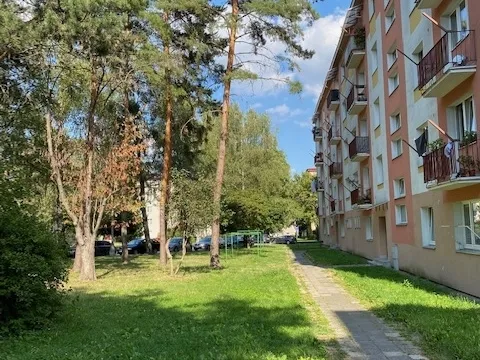 Pronájem bytu 2+1, Olomouc, tř. Svornosti, 54 m2