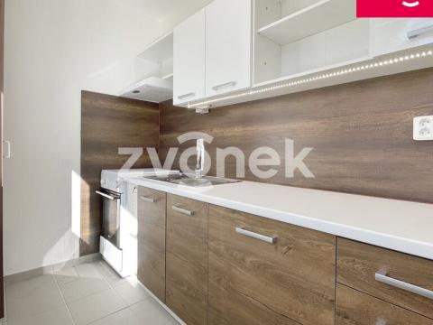 Pronájem bytu 1+1, Zlín - Příluky, Zborovská, 38 m2