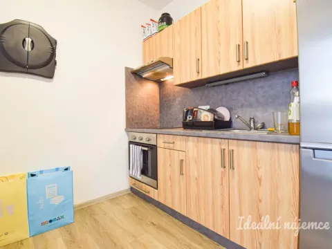 Pronájem bytu 1+kk, Brno, Svitavská, 33 m2