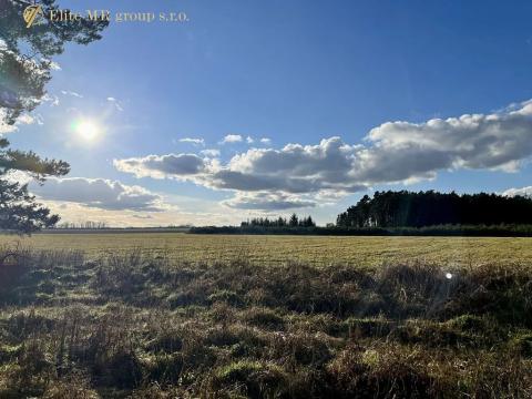 Prodej podílu lesa, Březovice, 36905 m2