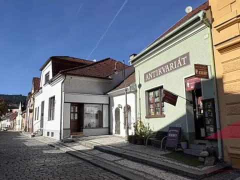 Prodej obchodního prostoru, Sušice - Sušice II, Příkopy, 135 m2