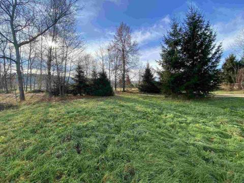 Prodej pozemku, Nové Hrady - Štiptoň, 3703 m2