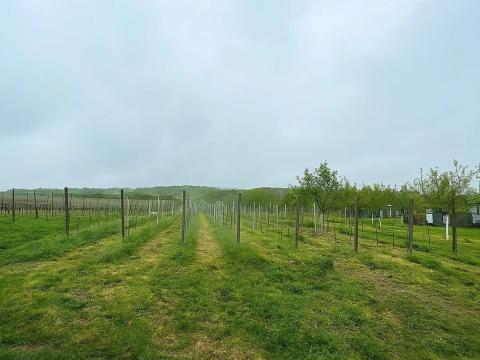 Prodej pozemku, Blatnice pod Svatým Antonínkem, 2471 m2