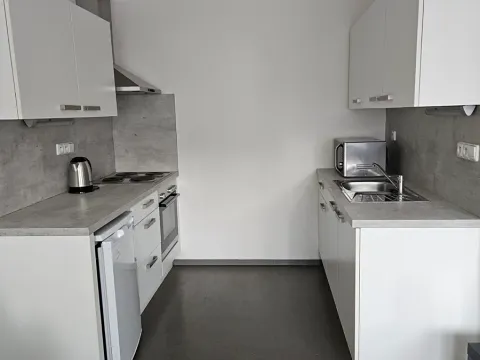 Pronájem bytu 1+kk, Brno, Stará, 38 m2