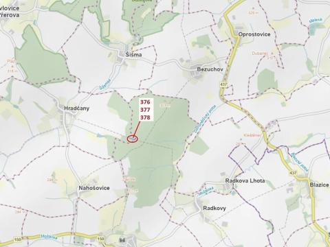 Dražba lesa, Hradčany-Kobeřice, 1703 m2