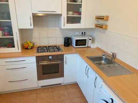 Pronájem bytu 3+1, Ostrava, Svojsíkova, 74 m2