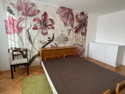 Pronájem bytu 3+1, České Budějovice, Čechova, 68 m2