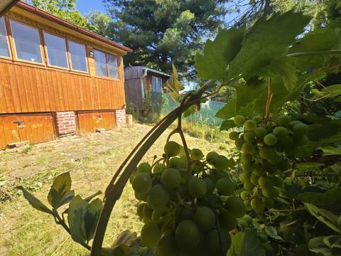 Prodej chaty, Jihlava, 17 m2