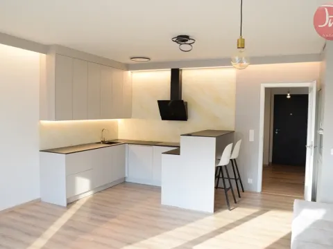 Pronájem bytu 1+kk, Ostrava, F. X. Riepla, 44 m2