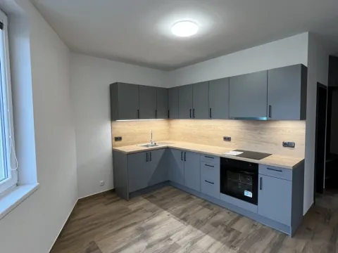 Pronájem bytu 2+1, Olomouc - Hodolany, Holická, 68 m2