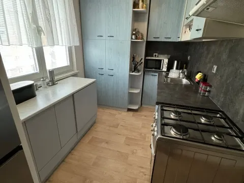 Pronájem bytu 3+1, Bruntál, Pionýrská, 60 m2