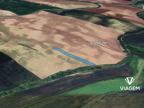 Prodej podílu pole, Mutěnice, 3198 m2