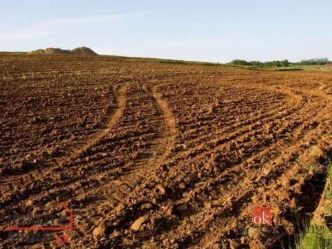 Prodej pole, Bohdašín, 54810 m2