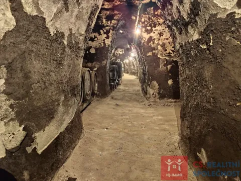 Pronájem vinného sklepa, Nový Šaldorf-Sedlešovice - Nový Šaldorf, 310 m2