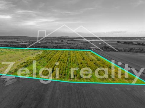 Prodej sadu/vinice, Rakvice, 176555 m2