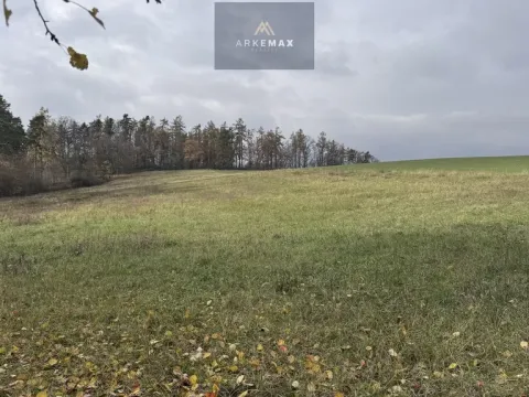 Prodej pole, Vřesina, 17151 m2
