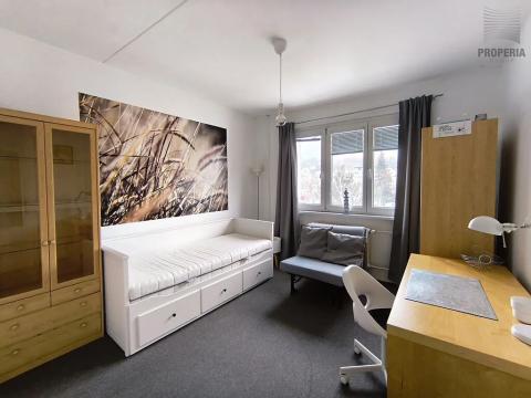 Pronájem bytu 1+kk, Brno, Veletržní, 19 m2