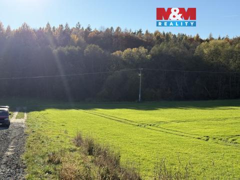 Prodej lesa, Velká Polom, 1901 m2