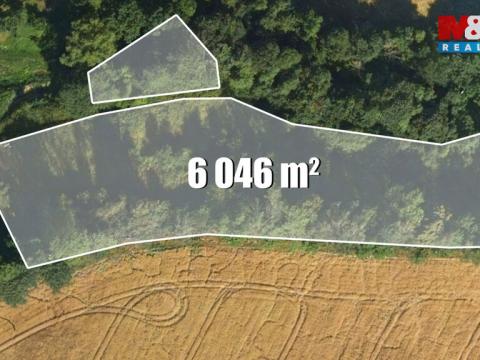 Prodej louky, Bílá - Hradčany, 6046 m2