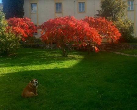 Pronájem bytu 2+1, Svrkyně, 90 m2