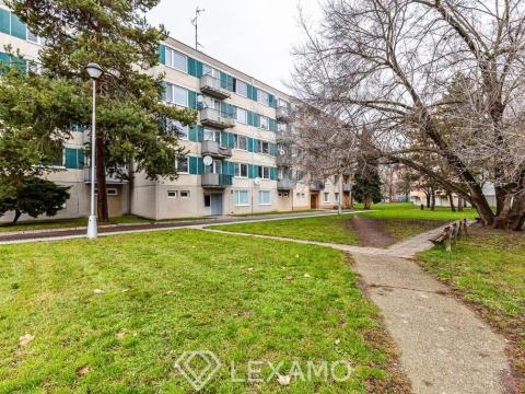 Pronájem bytu 1+1, Znojmo, Dukelských bojovníků, 33 m2