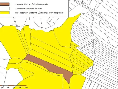 Prodej podílu lesa, Žirovnice, 24331 m2