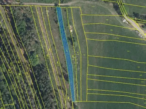 Prodej podílu lesa, Nový Rychnov, 6035 m2