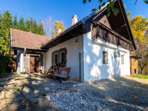 Prodej rodinného domu, Dolní Dvořiště - Jenín, 341 m2