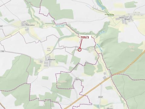 Dražba lesa, Osek, 301 m2