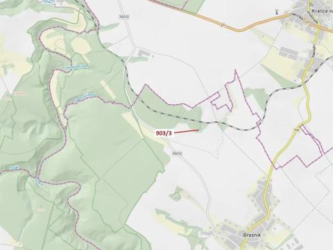 Dražba lesa, Březník, 234 m2