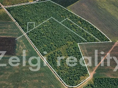 Prodej sadu/vinice, Kralupy nad Vltavou, 246558 m2